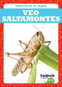 Cover image for Veo Saltamontes (I See Grasshoppers)