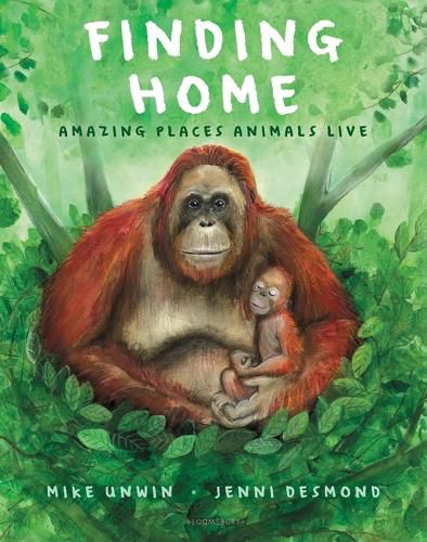 Cover image for Finding Home