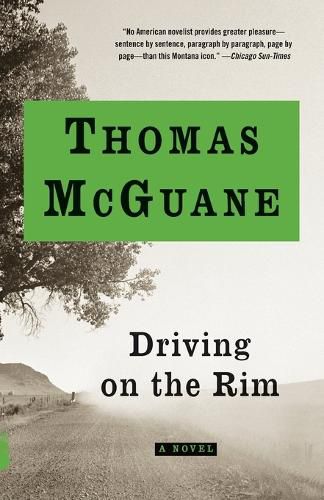 Cover image for Driving on the Rim: A novel