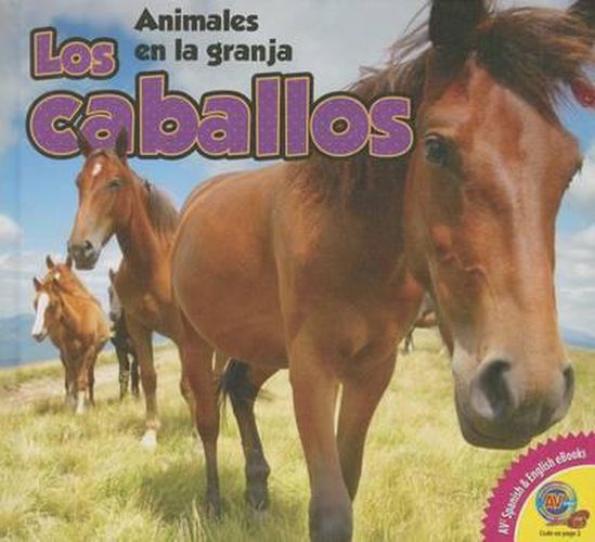 Cover image for Los Caballos