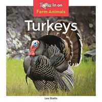 Cover image for Turkeys