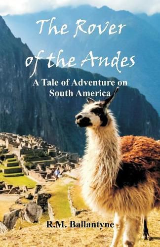 Cover image for The Rover of the Andes: A Tale of Adventure on South America