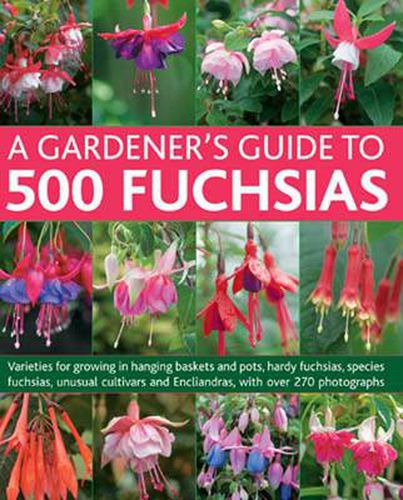 Cover image for Gardener's Guide to 500 Fuchsias