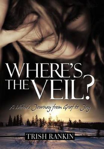 Cover image for Where's the Veil?