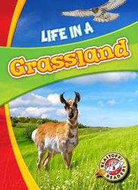 Cover image for Life in a Grassland