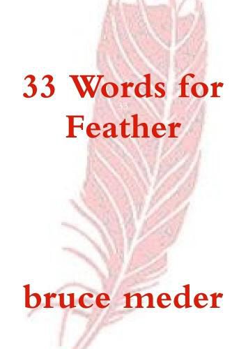 Cover image for 33 Words for Feather