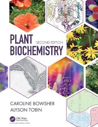 Cover image for Plant Biochemistry