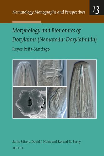 Cover image for Morphology and Bionomics of Dorylaims (Nematoda, Dorylaimida)