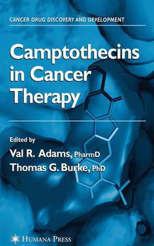 Cover image for Camptothecins in Cancer Therapy