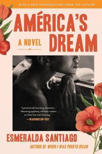 Cover image for America's Dream