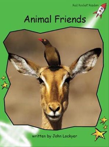 Cover image for Animal Friends