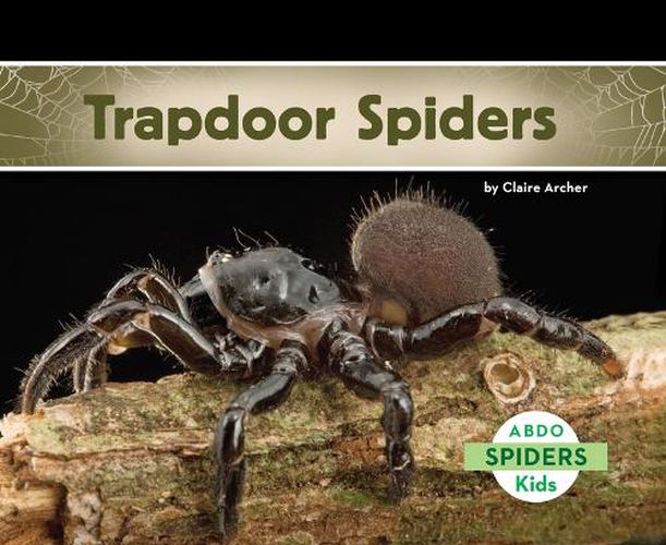 Cover image for Trapdoor Spiders