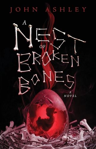 Cover image for A Nest of Broken Bones