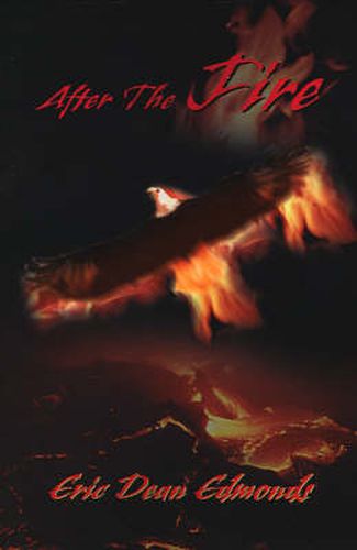 Cover image for After the Fire