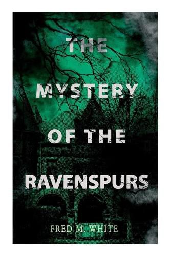 Cover image for The Mystery of the Ravenspours: The Black Valley