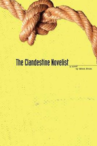 Cover image for The Clandestine Novelist