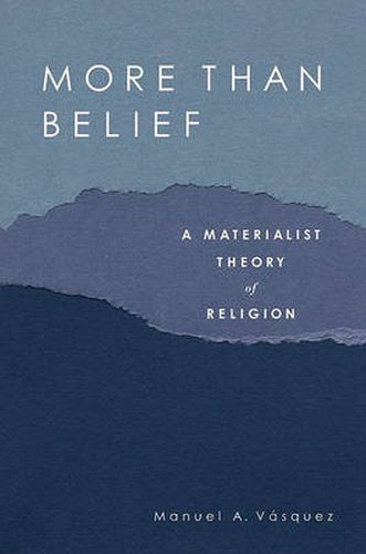 Cover image for More Than Belief: A Materialist Theory of Religion