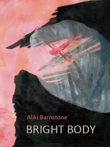 Cover image for Bright Body