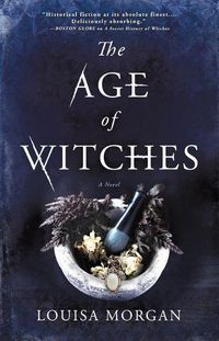 Cover image for The Age of Witches