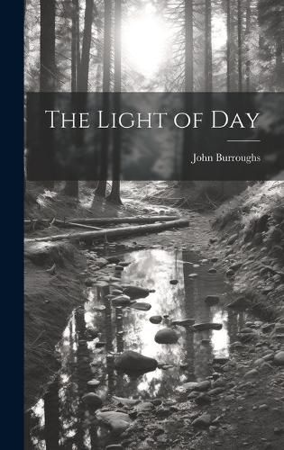 Cover image for The Light of Day