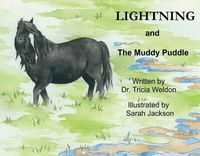 Cover image for Lightning and the Muddy Puddle