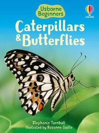 Cover image for Caterpillars and Butterflies