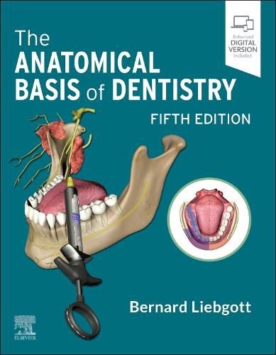 Cover image for The Anatomical Basis of Dentistry