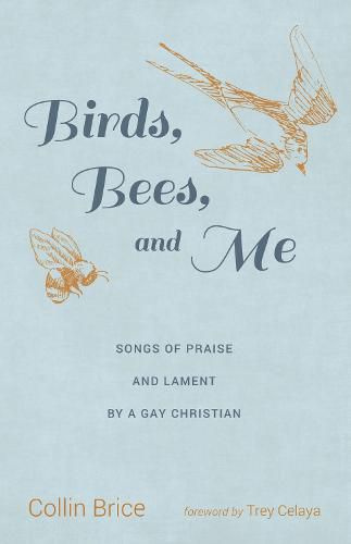 Cover image for Birds, Bees, and Me: Songs of Praise and Lament by a Gay Christian