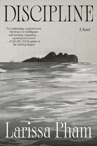 Cover image for Discipline