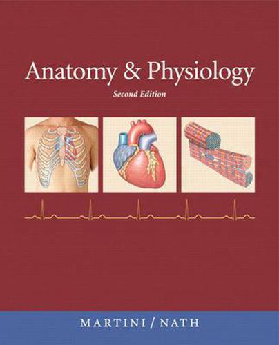 Cover image for Anatomy & Physiology with IP-10