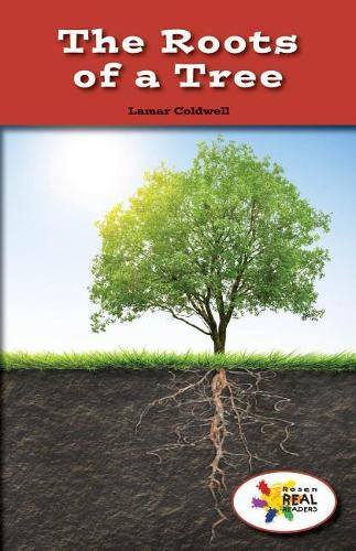 Cover image for The Roots of a Tree