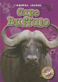 Cover image for Cape Buffalo