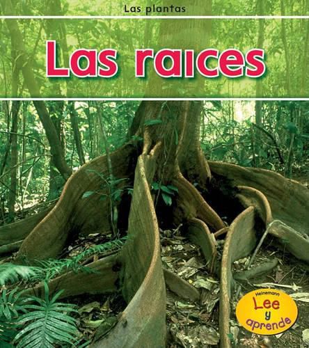 Cover image for Las Raices