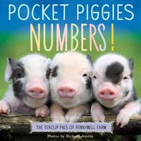 Cover image for Pocket Piggies Numbers!: Featuring the Teacup Pigs of Pennywell Farm