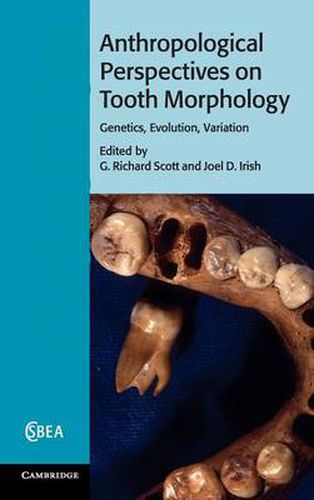 Cover image for Anthropological Perspectives on Tooth Morphology: Genetics, Evolution, Variation