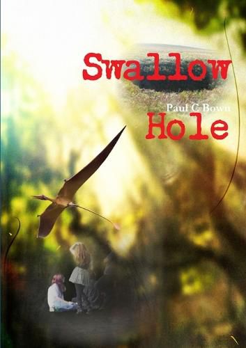 Cover image for Swallow Hole