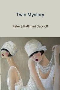 Cover image for Twin Mystery