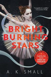 Cover image for Bright Burning Stars