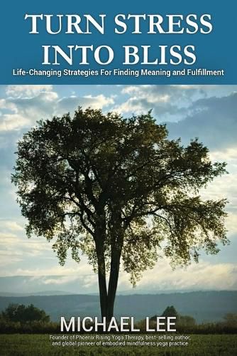 Cover image for Turn Stress Into Bliss