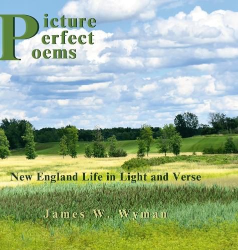 Cover image for Picture Perfect Poems