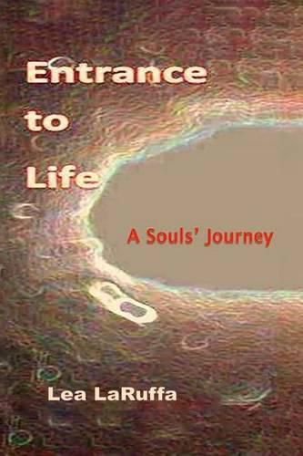 Cover image for Entrance to Life: A Souls' Journey