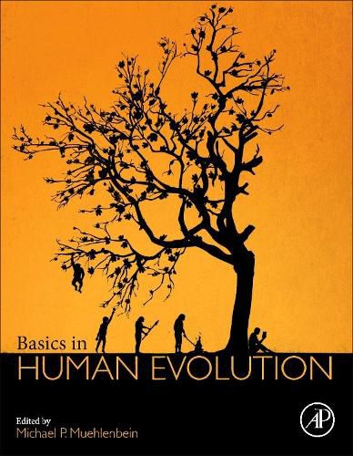 Cover image for Basics in Human Evolution