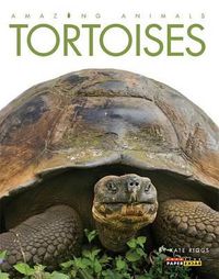 Cover image for Amazing Animals: Tortoises