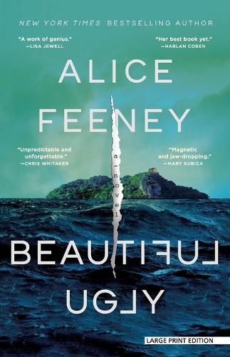 Cover image for Beautiful Ugly