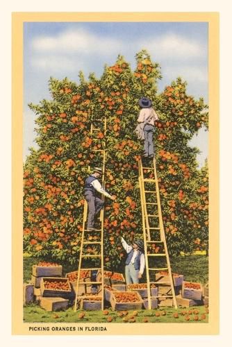 Cover image for Vintage Journal Picking Oranges in Florida