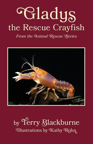 Gladys the Rescue Crayfish