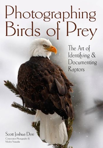 Cover image for Photographing Birds Of Prey: The Art of Identifying & Documenting Raptors