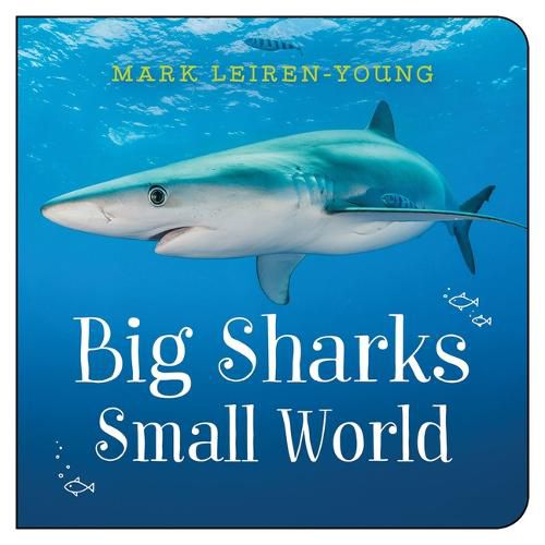 Big Sharks, Small World