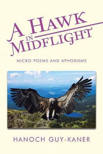 Cover image for A Hawk in Midflight