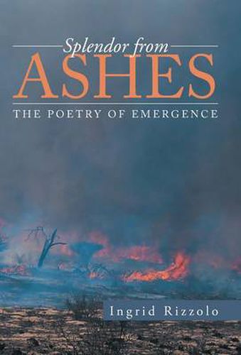 Cover image for Splendor from Ashes